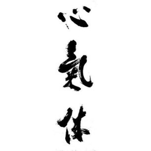 Shin Ki Tai
