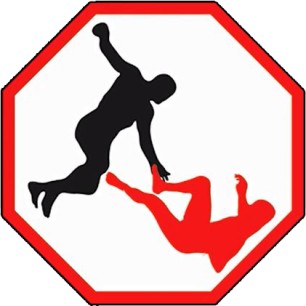 MMA fighting system